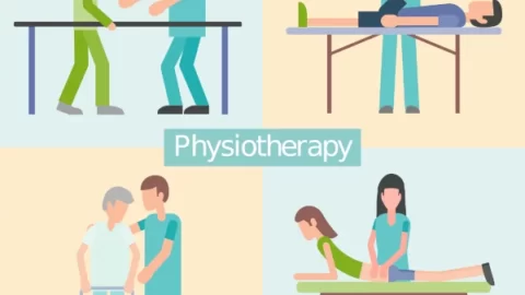 The Scope of Physiotherapy: An Overview